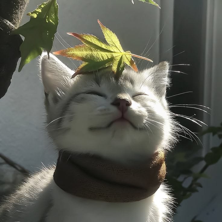 Пользователь